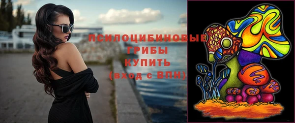 мяу мяу мука Вязьма