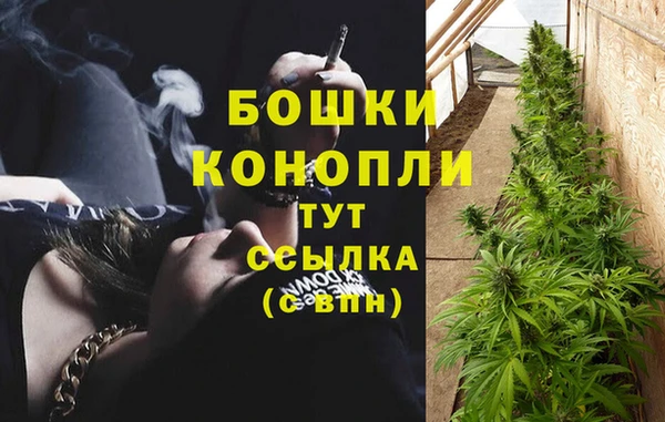 мяу мяу мука Вязьма