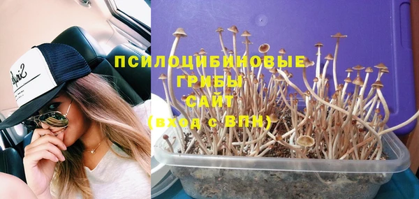 мяу мяу мука Вязьма