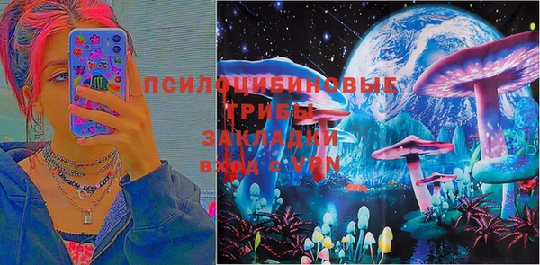 мяу мяу мука Вязьма
