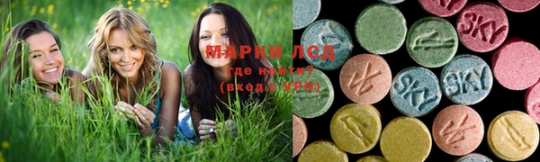 мяу мяу мука Вязьма