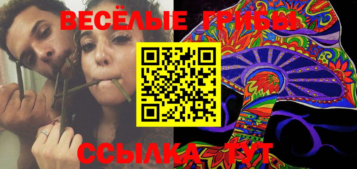 Псилоцибиновые грибы Psilocybe Междуреченск