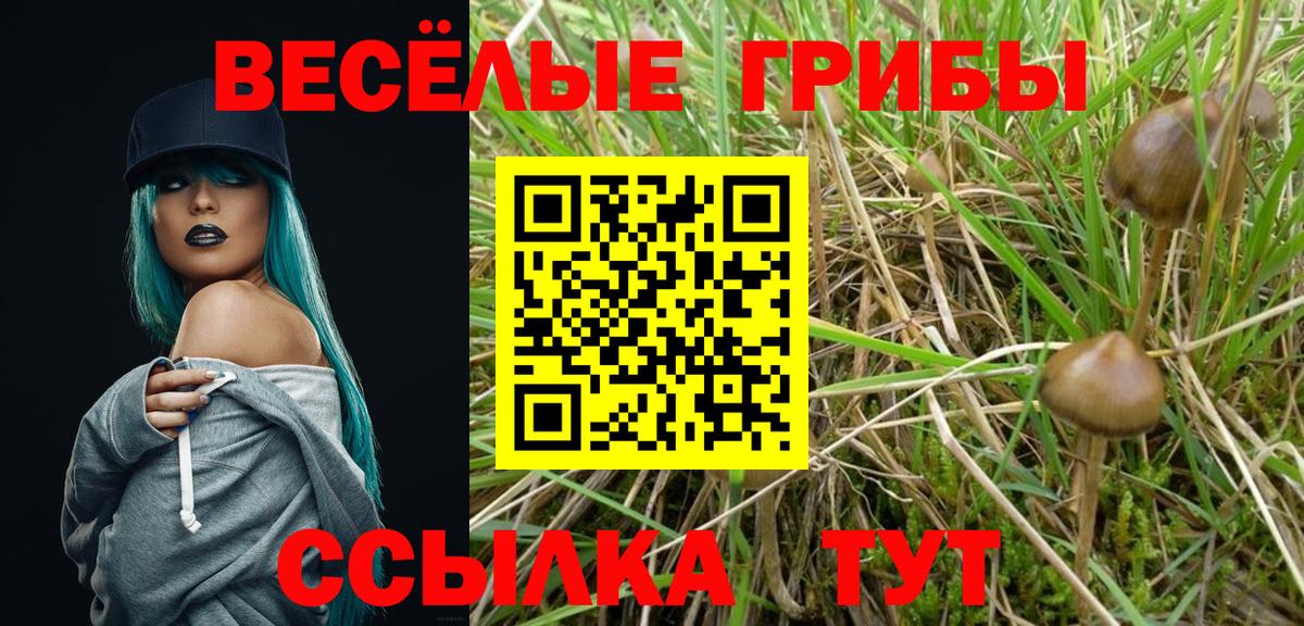 Междуреченск  Псилоцибиновые грибы ЛСД  Вход с VPN 