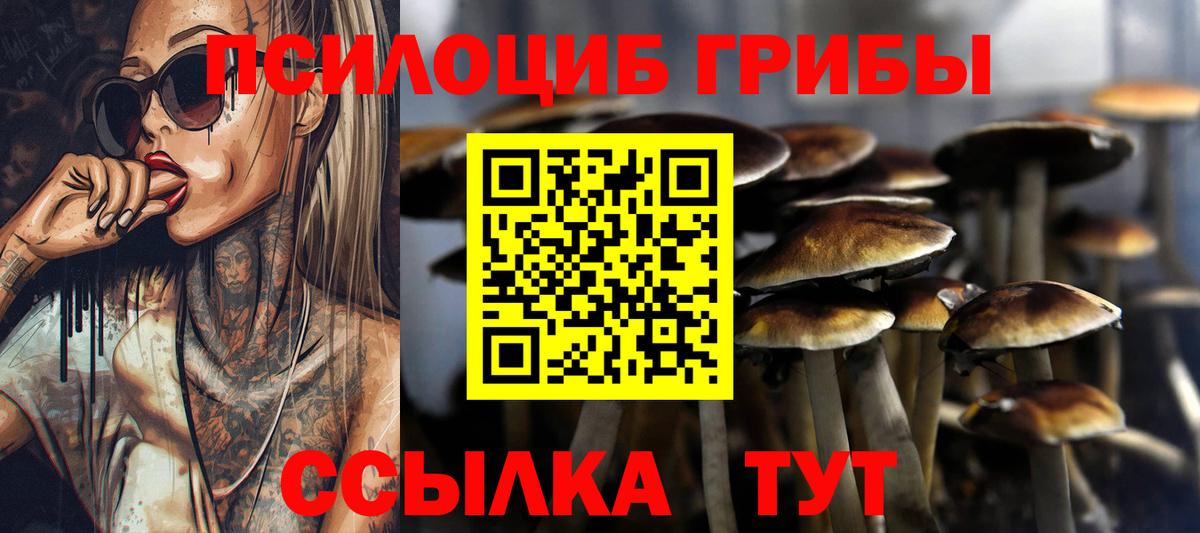 Псилоцибиновые грибы прущие грибы Междуреченск