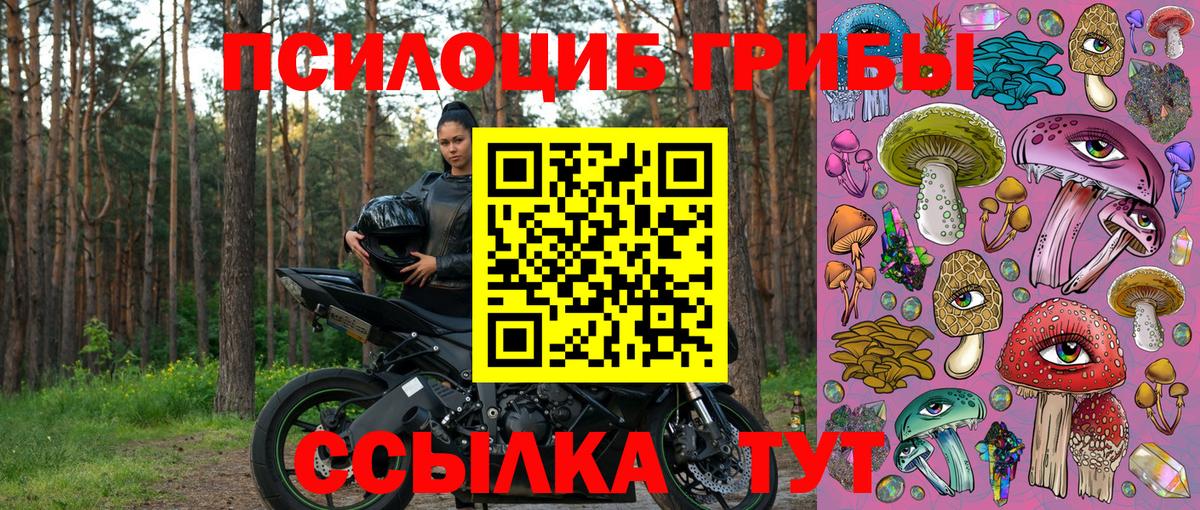 Псилоцибиновые грибы GOLDEN TEACHER  купить   Междуреченск 